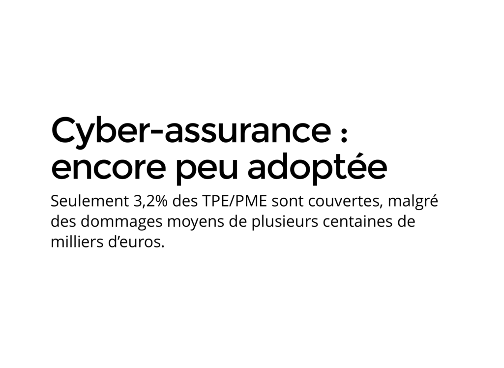 cybersecurite-pour-les-petites-entreprises-pme-professions-liberales-et-artisans – 10