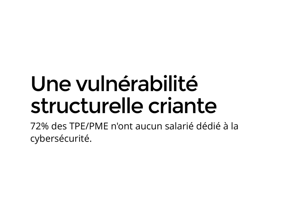 cybersecurite-pour-les-petites-entreprises-pme-professions-liberales-et-artisans – 2