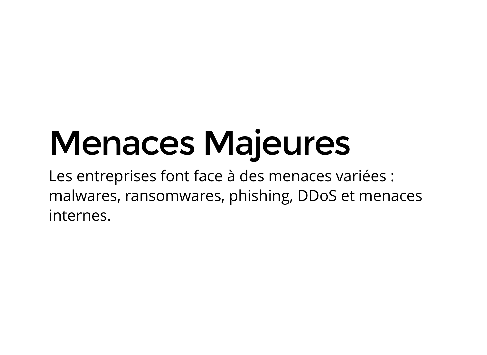 enjeux-de-la-cybersecurite-pour-les-entreprises – 2