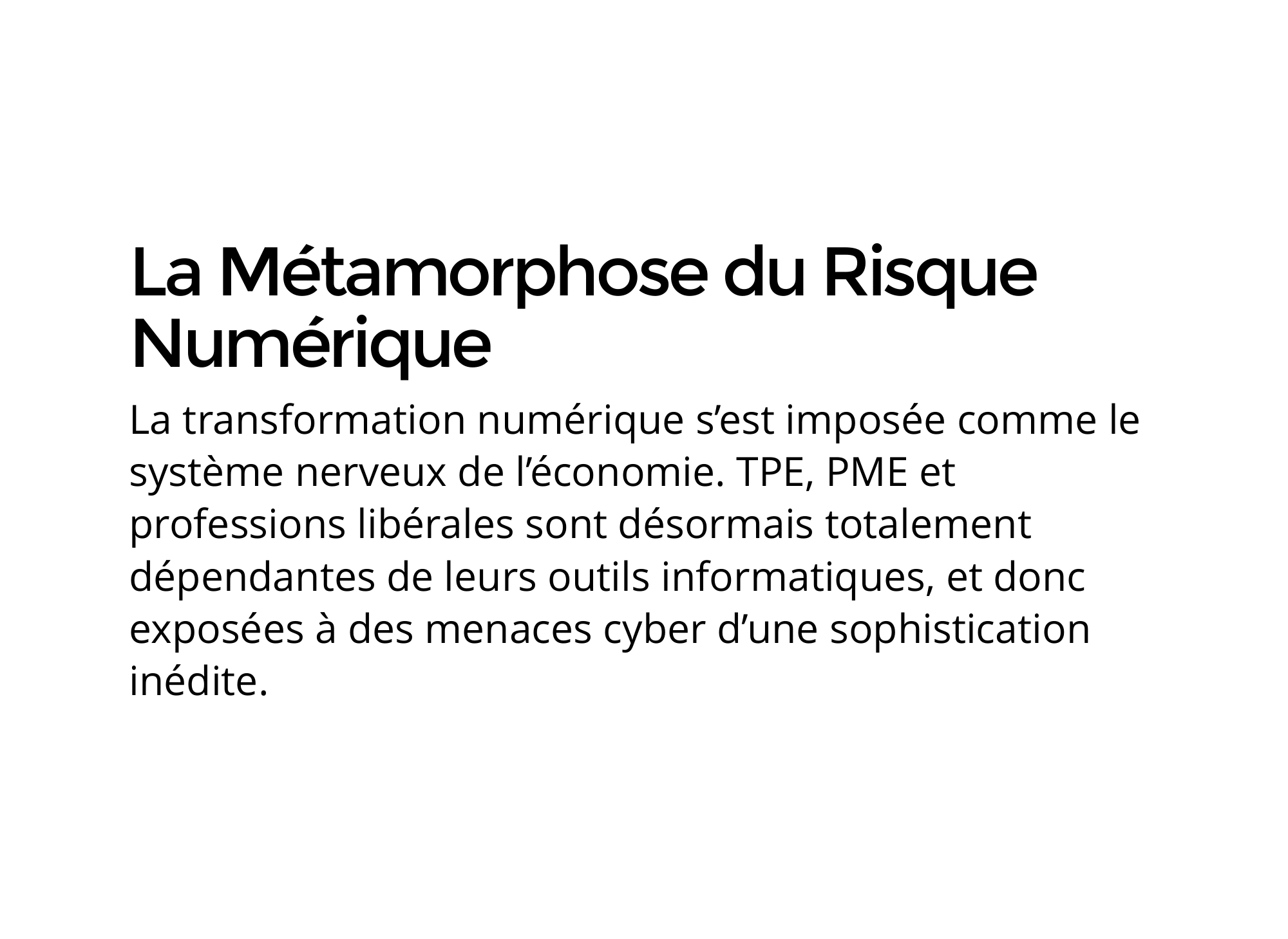guide-strategique-et-operationnel-de-la-resilience-numerique-cybersecurite-pour-tpe-pme-et-professions-liberales-2026 – 1