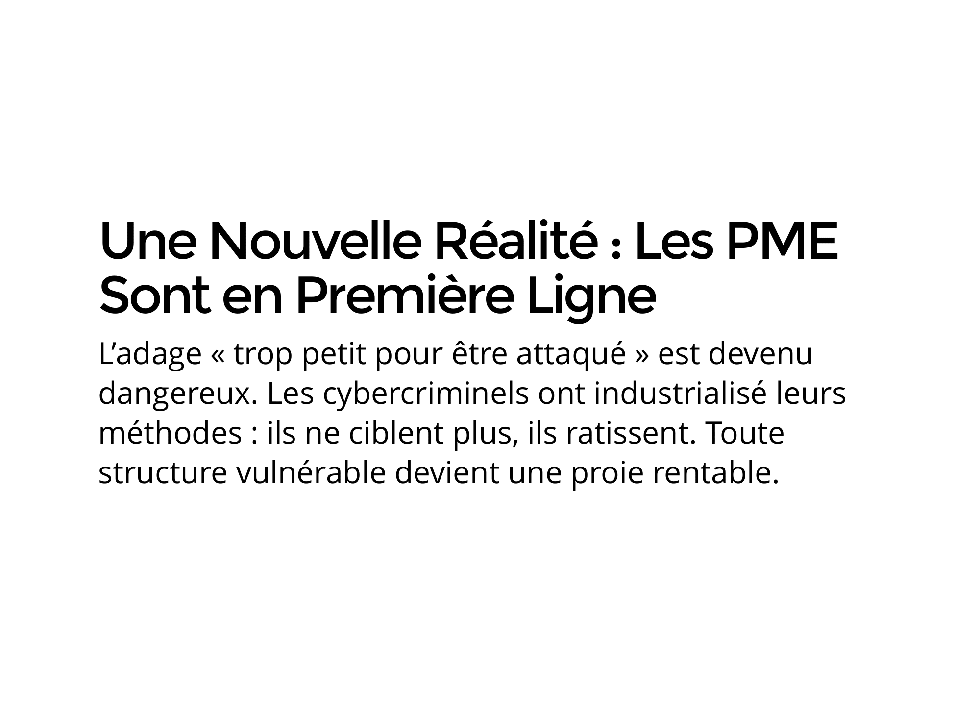 guide-strategique-et-operationnel-de-la-resilience-numerique-cybersecurite-pour-tpe-pme-et-professions-liberales-2026 – 2